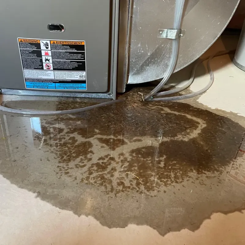 Appliance Leak Cleanup in Martin County, NC