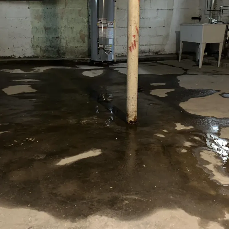 Emergency Water Extraction And Removal in Martin County, NC